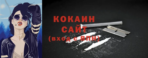 кристаллы Гусев