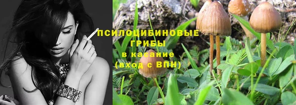 кристаллы Гусев