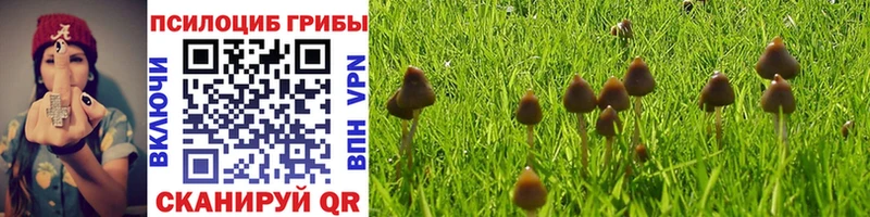 Галлюциногенные грибы Psilocybine cubensis  гидра tor  Дрезна  цена  